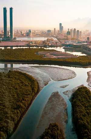 Sustainable and Green Communities